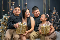 Mary Mendez Christmas Photos
